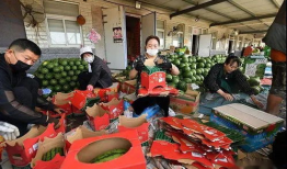 来宾市吃瓜群众爆料案件,吃瓜群众揭秘真相