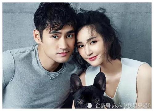 娱乐圈吃瓜爆料演员